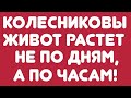 Колесниковы// Живот растет не по дням, а по часам! // Обзор видео//