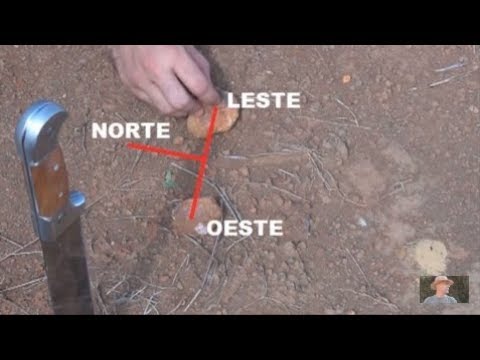 Vídeo: Como Navegar Na Floresta Pelo Sol