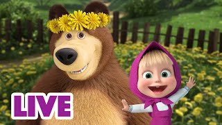 🔴 LIVE STREAM 🎬 Masha and the Bear 🌷 Springtime! 🌱