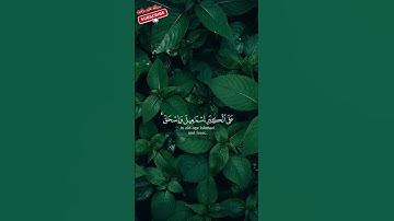 ❤️تلاوه عطره طيبه مباركه ايات محكمات من الذكر الحكيم سورة ابراهيم❤️ #المصحف #ابداع #اكسبلور