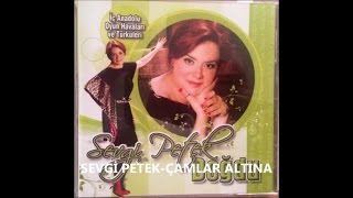 SEVGİ PETEK - ÇAMLAR ALTINA Resimi