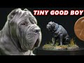Miniature Memorial to a Good Boy