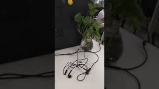 2019071501