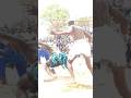 Garkuwan Kurma Ya Buge Alasan Everton Boxing Awa24top Sports Arewarmutv 