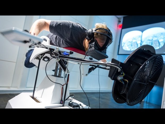 Isse Sway radar Flying the Birdly Virtual Reality Simulator - YouTube