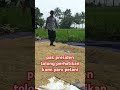 #petani #petanimuda #pupuk #janjiprabowo #prabowopresiden