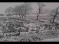 Snow in Whitland Jan 2013 Snow in Whitland Jan 2013