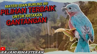 MASTERAN PILIHAN TERBAIK RATAKAN GANTANGAN || BURUNG TEMBAKAN RAPAT UNTUK ISIAN BURUNG LOMBA