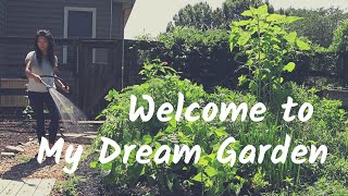 Slow Living Summer Kitchen: From Garden to Table / ASMR Cooking / grow your groceries at home