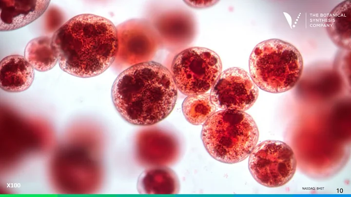 BioHarvest Sciences Investor Webinar with Live Q+A - Sept. 10, 2025