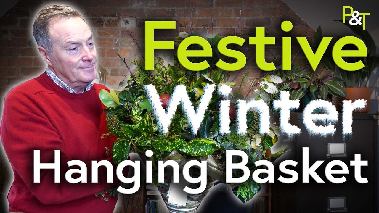 How to Make a Festive Winter Holiday Hanging Basket - Pots & Trowels ...
