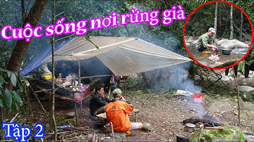 VÀO RỪNG GIÀ SỐNG | T2 - Cuộc sống trong rừng, Cuộc Sống Hoang dã, Trải Nghiệm Trong Rừng