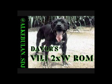 DAVOR'S VILI 2xW ROM
