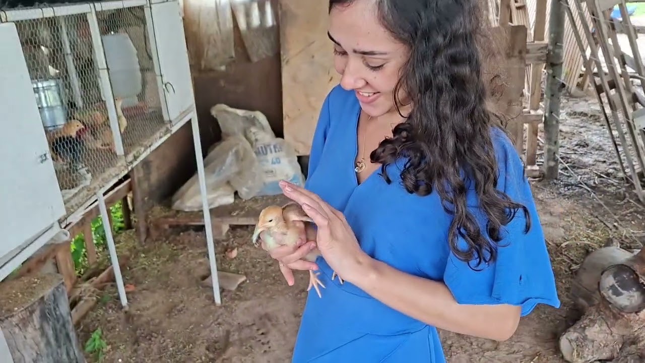 NOSSO DOMINGO NO SÍTIO, RECEBEMOS VISITA 
