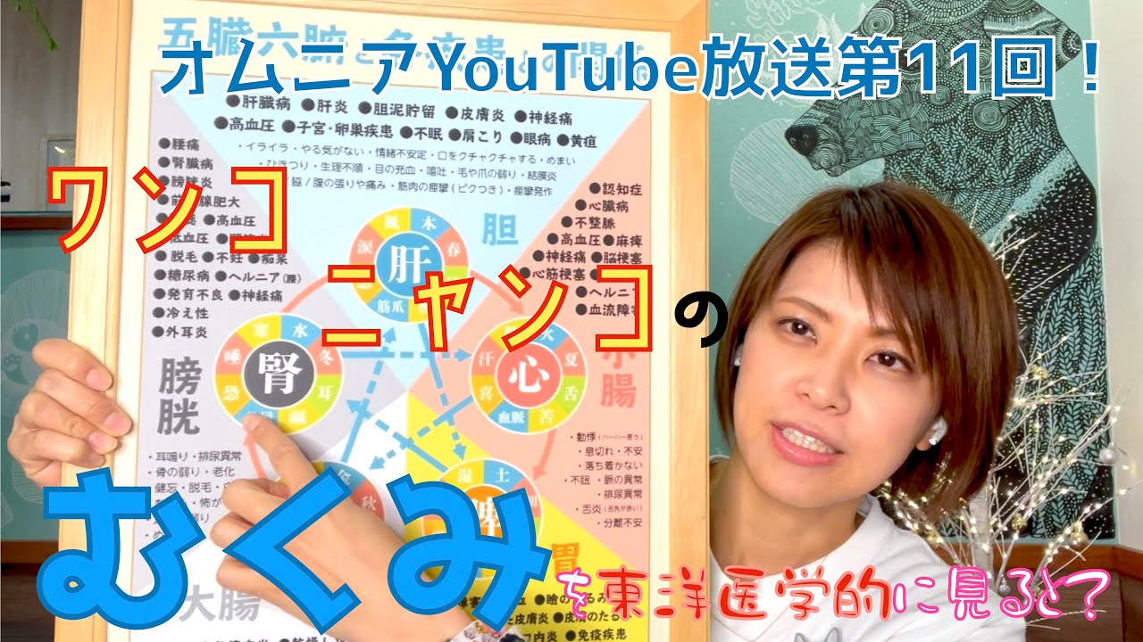 ワンコニャンコのむくみを東洋医学的にみると？