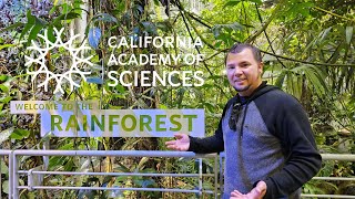 San Francisco's California Academy of Sciences/FULL WALK THRU (4K)
