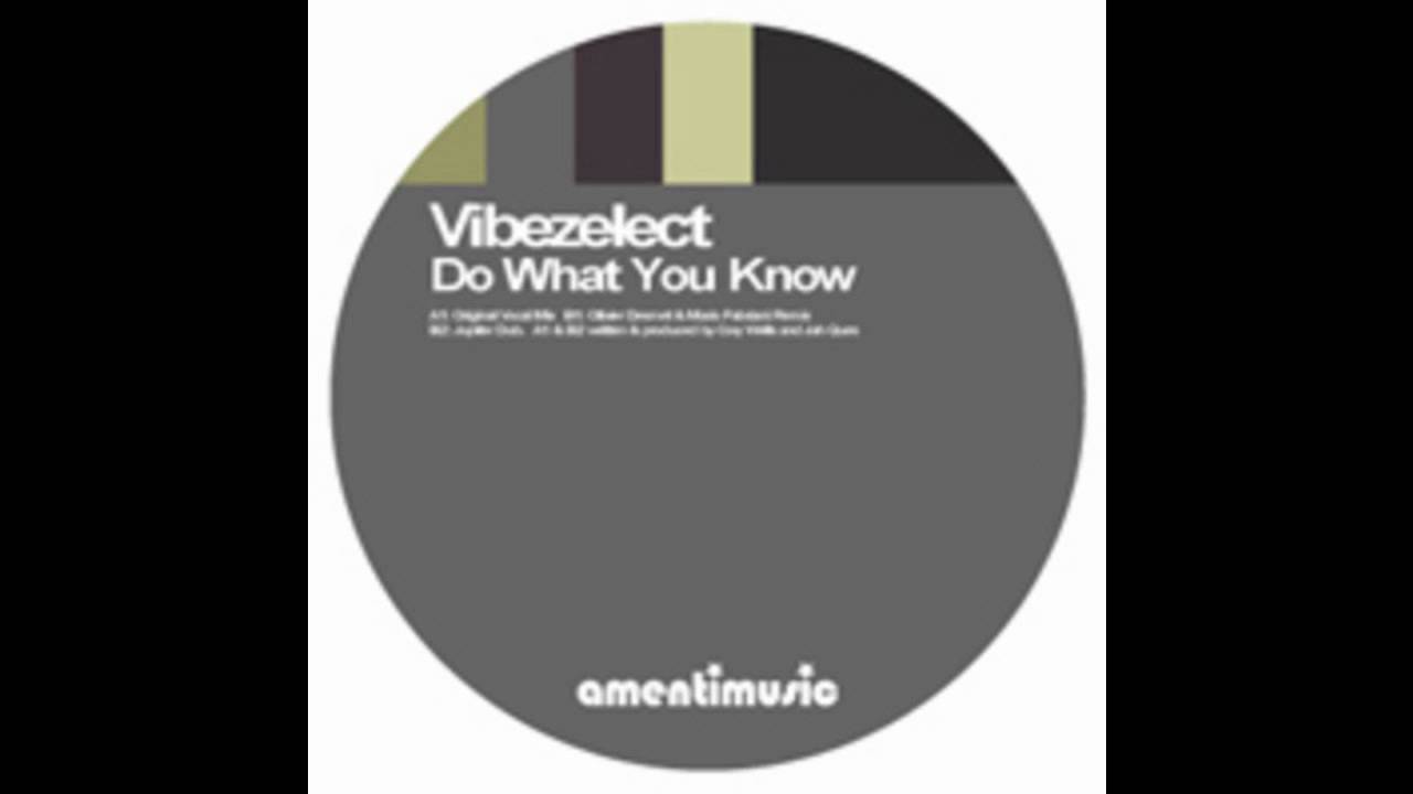 Vibezelect-Do What You Know.