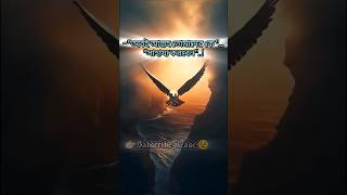 “তুমি দ্বীনকে সাহায্য করো… আল্লাহ তোমাকে করবেন”✨📿#ওয়াজ #ইসলামিক_ভিডিও #adnan#viral  waz#shorts