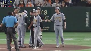 Manager Kyuji Fujikawa Furious and Exploding After Shota Morishita Gets Hit by a Pitch! Giants vs...