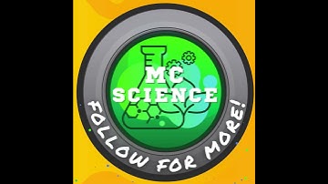 What is under my microscope?