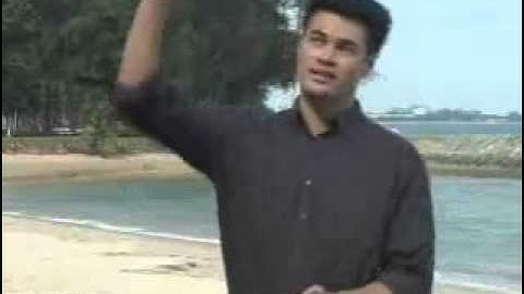 Roger Hamilton - The Wealth Paradox