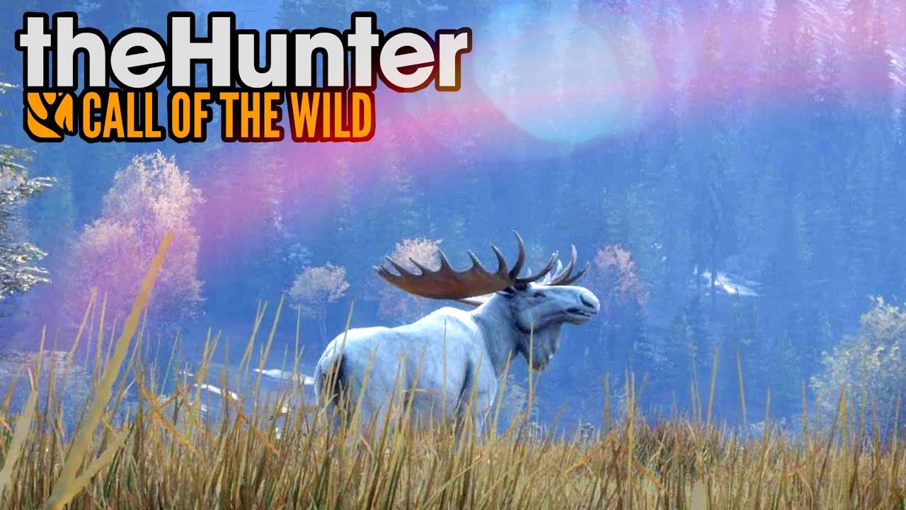 CAÇA AO ALCE QUASE IMPOSSÍVEL! ( FUI ATACADO ) - THE HUNTER CALL OF THE WILD!