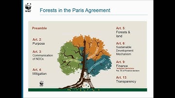 Learning Session 46: Forest and REDD+ expectations for COP22 Marrakech