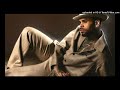 Chris Brown Perfect Timing Brown 