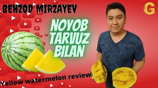 BEHZOD MIRZAYEV NOYOB TARVUZ BILAN | YELLOW WATERMELON REVIEW #UydaQoling