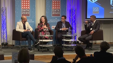 Panel: Common Challenges in Creating a Data Governance Model and Establishing a CDO Role