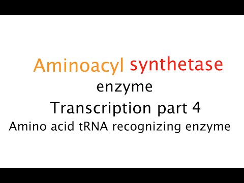 Video: Poruchy Mitochondriální Aminoacyl-tRNA Syntetázy: Objevující Se Skupina Vývojových Poruch Myelinizace