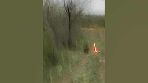 Ravin R20 sniper slow motion 30 yards