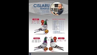 Prezentarea crescătorului Cîșlaru Marius și descriere noul proiect