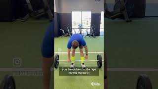 How to Deadlift | D1 Training #deadlifttechnique #deadlift #howtodeadlift