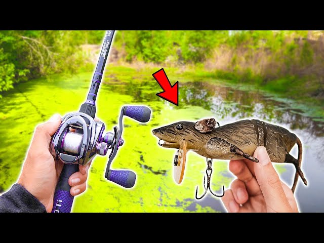 World's LARGEST Rat Lure Catches GIANT Bass (Lake Fishing