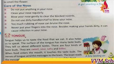 2021 22 CLASS 4 SUBJECT   EVS CHAP 3 OUR SENSE ORGANS PART   3