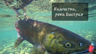 Рыбалка на Камчатке: Сплав по реке Быстрая. Голец на Камчатке.