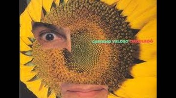 Lindeza - Caetano Veloso