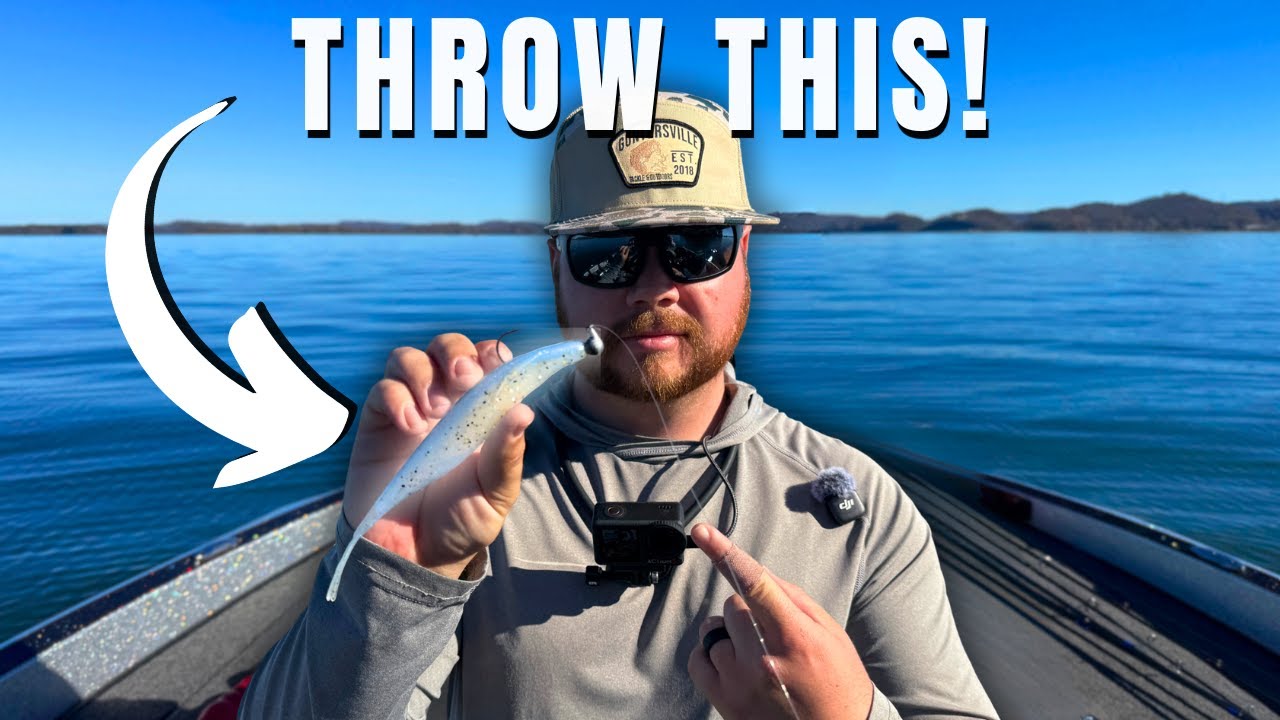 You NEED To Throw This GIANT Bait Right Now! [Lake Guntersville]