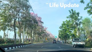 Life Update: Pentingnya Literasi