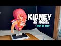 Kidney 3d model science  diy medical project nakulsahuart