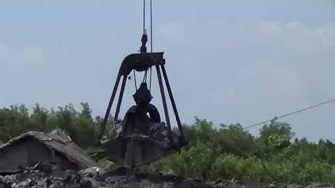 cận cảnh sáng múc dây màu cam cạp đất / sang cạp múc đất kinh cạn / dh ducnha