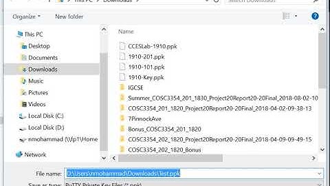 Login to EC2 using WinScp and Putty