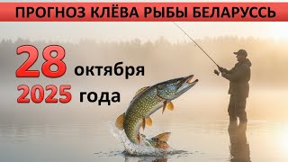 видео: ПРОГНОЗ КЛЁВА в Беларуси на 28 октября 2025 года: Бросай все и на рыбалку! картинка: ПРОГНОЗ КЛЁВА в Беларуси на 28 октября 2025 года: Бросай все и на рыбалку!