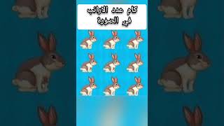 أين أقوياء الملاحظة 😱 و العبقرة كام أرنب في الصورة 🤔