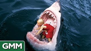 6 Strangest Things Swallowed by a Shark