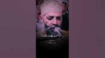 حالات واتس اب قرأن كريم إبداع الشيخ حسن صالح Shorts Quran حالات 