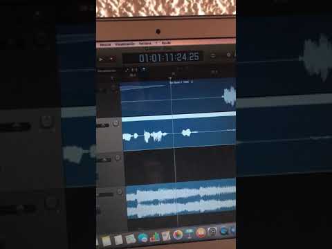 Logic Pro X.
