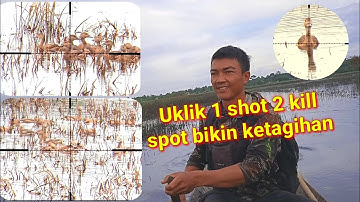 berburu belibis terbaru spot istimewa one shot two kill‼️Uklik