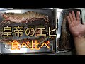 手の平より大きい海老をエビフライにして食べ比べてみた